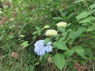 s-IMG_0563.jpg