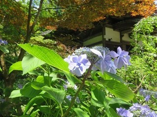 s-IMG_0571.jpg