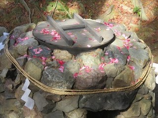 s-IMG_1136.jpg