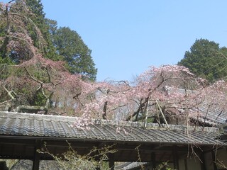 s-IMG_1937.jpg